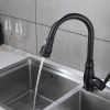 New Single Handle Pull-Down Sprayer Kitchen Faucet in Black